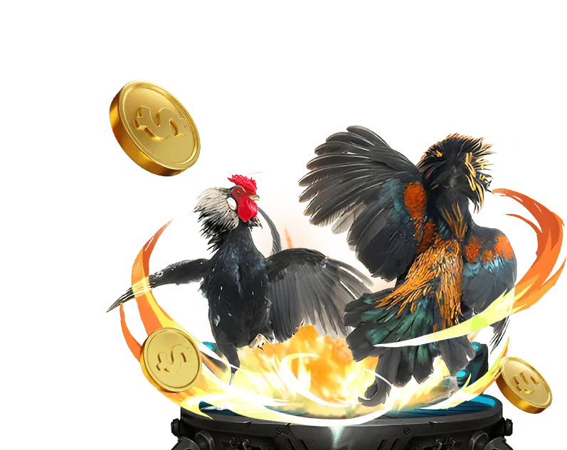 Chiến lược cá cược đá gà hiệu quả từ chuyên gia hz888 casino
